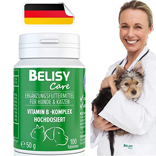BELISY >Vitamin B Komplex< für Hunde & Katzen - 100 Tabletten - Mit 7 B-Vitaminen, Vitamin K & Calcium - Hochdosiert - Ideal für alle Rassen - Ohne Getreide & Milcherzeugnisse von BELISY
