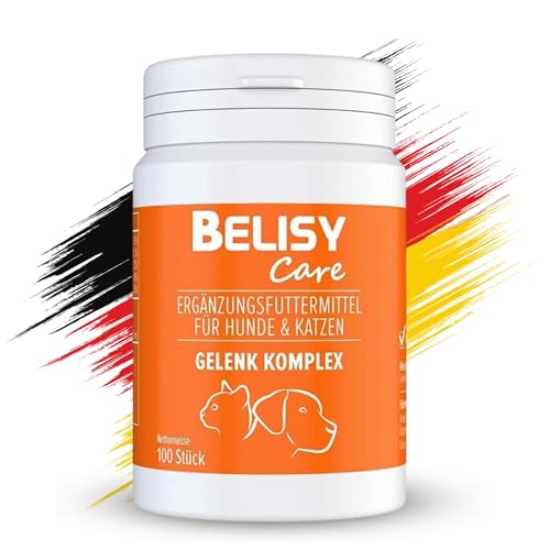BELISY natürliche Gelenktabletten für Hunde - mit Grünlippmuschel, Glucosamin, Teufelskralle & MSM - Gelenk & Knochenschutz Tabletten für Hunde Gelenk Komplex (150g) von BELISY