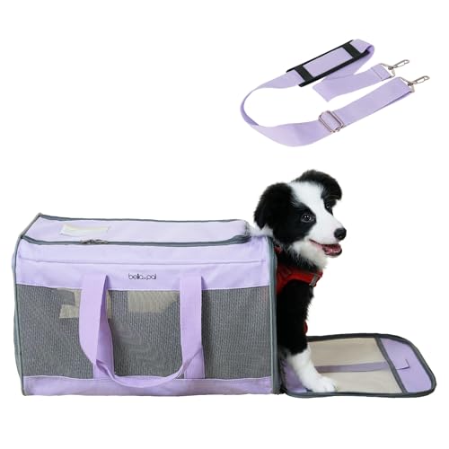 BELLA & PAL Katzentransportbox für große Katzen und Welpen–Leichte faltabre Transporttasche Katze- Ausbruchsichere, Wasserdicht & Kratzfestem Netz, 50x31x31cm bis 10kg für Tierarzt/Auto/Flugzeug von BELLA & PAL