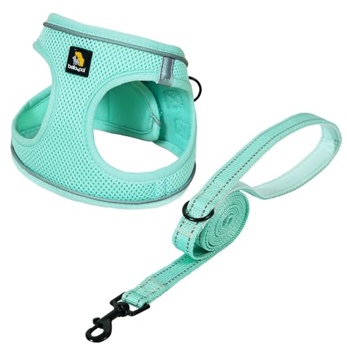 BELLA & PAL Hundegeschirr Kleine Hunde mit Leine, Step-in Geschirr aus Air Mesh, Anti Zug Reflektierend Atmungsaktiv Brustgeschirr, Welpengeschirr für Kleine Hunde, Katzengeschirr, Minze, L BELLA & PAL Hundegeschirr Kleine Hunde mit Leine, Step-in Geschirr aus Air Mesh, Anti Zug Reflektierend Atmungsaktiv Brustgeschirr, Welpengeschirr für Kleine Hunde, Katzengeschirr, Minze, L von BELLA & PAL