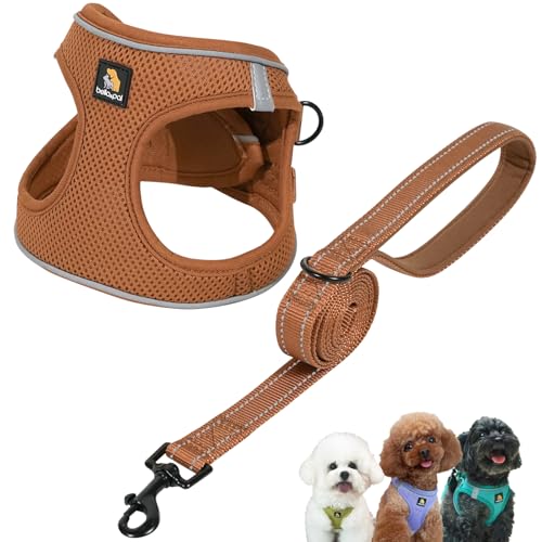 BELLA & PAL Hundegeschirr Kleine Hunde mit Leine, Step-in Geschirr aus Air Mesh, Anti Zug Reflektierend Atmungsaktiv Brustgeschirr, Welpengeschirr für Kleine Hunde, Katzengeschirr, Mokka, L BELLA & PAL Hundegeschirr Kleine Hunde mit Leine, Step-in Geschirr aus Air Mesh, Anti Zug Reflektierend Atmungsaktiv Brustgeschirr, Welpengeschirr für Kleine Hunde, Katzengeschirr, Mokka, L von BELLA & PAL