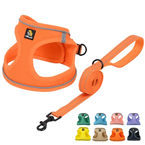 BELLA & PAL Hundegeschirr Kleine Hunde mit Leine, Step-in Geschirr aus Air Mesh, Anti Zug Reflektierend Atmungsaktiv Brustgeschirr, Welpengeschirr für Kleine Hunde, Katzengeschirr, Orange, XXS BELLA & PAL Hundegeschirr Kleine Hunde mit Leine, Step-in Geschirr aus Air Mesh, Anti Zug Reflektierend Atmungsaktiv Brustgeschirr, Welpengeschirr für Kleine Hunde, Katzengeschirr, Orange, XXS von BELLA & PAL