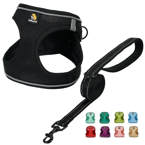 BELLA & PAL Hundegeschirr Kleine Hunde mit Leine, Step-in Geschirr aus Air Mesh, Anti Zug Reflektierend Atmungsaktiv Brustgeschirr, Welpengeschirr für Kleine Hunde, Katzengeschirr, Schwarz, M BELLA & PAL Hundegeschirr Kleine Hunde mit Leine, Step-in Geschirr aus Air Mesh, Anti Zug Reflektierend Atmungsaktiv Brustgeschirr, Welpengeschirr für Kleine Hunde, Katzengeschirr, Schwarz, M von BELLA & PAL