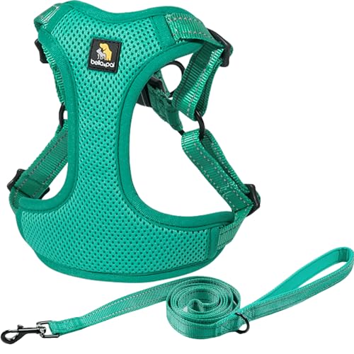 BELLA & PAL Hundegeschirr und Leine, verstellbares Hundegeschirr zum Hineinsteigen, kein Ziehen, Weste für XS/kleine/mittelgroße Hunde, atmungsaktives Air-Mesh, reflektierende Streifen, sicherer Haken von BELLA & PAL