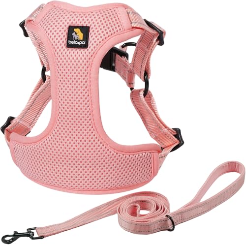 BELLA & PAL Hundegeschirr und Leine, verstellbares Hundegeschirr zum Hineinsteigen, kein Ziehen, Weste für XS/kleine/mittelgroße Hunde, atmungsaktives Air-Mesh, reflektierende Streifen, sicherer Haken von BELLA & PAL
