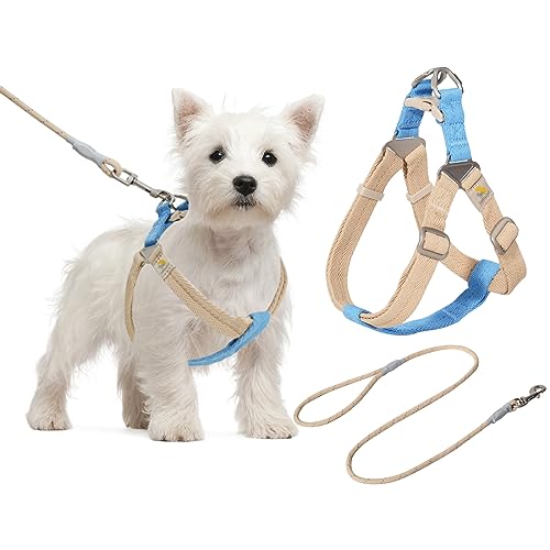 BELLA & PAL Hundegeschirr und Leine Set, Weiche Nylon Hundegeschirr für Kleine Hunde, Step-in Welpengeschirr Atmungsaktives Leichte Hundegeschirr, Verstellbares Brustgeschirr, Blau Khaki, S von BELLA & PAL