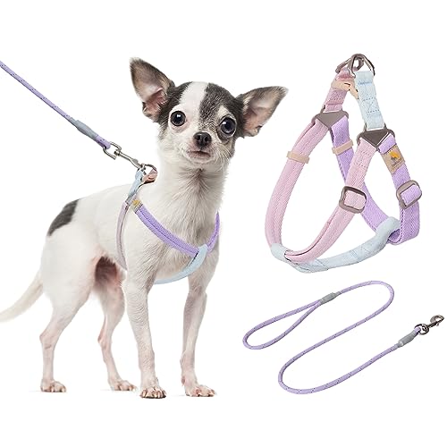 BELLA & PAL Hundegeschirr und Leine Set, Weiche Nylon Hundegeschirr für Kleine Hunde, Step-in Welpengeschirr Atmungsaktives Leichte Hundegeschirr, Verstellbares Brustgeschirr, Pink Blau Lila, XS von BELLA & PAL