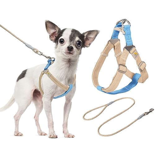 BELLA & PAL Hundegeschirr und Leine Set - Weiches Nylon für Extra Kleine Hunde, Step-in Welpengeschirr, Atmungsaktiv, Leicht, Verstellbares Brustgeschirr, Blau Khaki, XS von BELLA & PAL