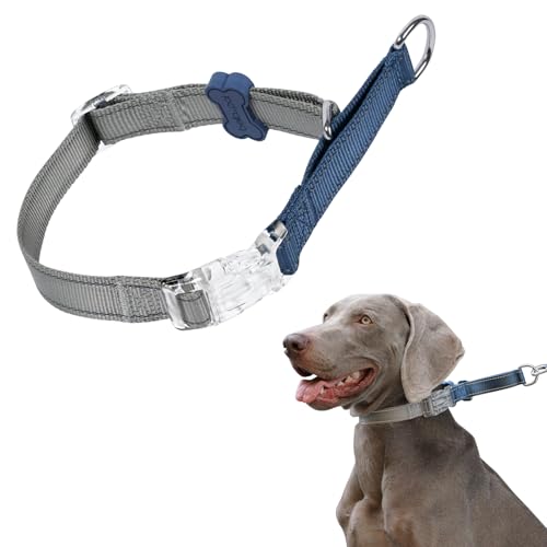 BELLA & PAL Martingale Halsband für Hunde, Verstellbares, reflektierendes Hundehalsband mit Schnellverschluss-Schnalle, begrenztes Schlupfhalsband, ausbruchsicher für Spaziergänge und Training, ideal BELLA & PAL Martingale Halsband für Hunde, Verstellbares, reflektierendes Hundehalsband mit Schnellverschluss-Schnalle, begrenztes Schlupfhalsband, ausbruchsicher für Spaziergänge und Training, ideal von BELLA & PAL