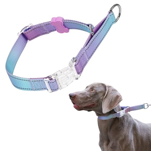 BELLA & PAL Martingale Halsband für Hunde, Verstellbares, reflektierendes Hundehalsband mit Schnellverschluss-Schnalle, begrenztes Schlupfhalsband, ausbruchsicher für Spaziergänge und Training, ideal BELLA & PAL Martingale Halsband für Hunde, Verstellbares, reflektierendes Hundehalsband mit Schnellverschluss-Schnalle, begrenztes Schlupfhalsband, ausbruchsicher für Spaziergänge und Training, ideal von BELLA & PAL