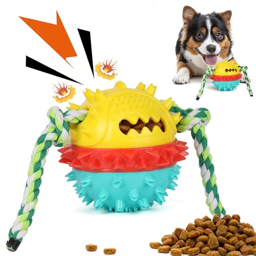 BELLE VOUS Quietschendes Hundekauspielzeug - Hundespielzeug unzerstörbar für Aggressive Kauer - Kauspielzeug Hund - Unzerstörbares Hundespielzeug große Hunde BELLE VOUS Quietschendes Hundekauspielzeug - Hundespielzeug unzerstörbar für Aggressive Kauer - Kauspielzeug Hund - Unzerstörbares Hundespielzeug große Hunde von BELLE VOUS