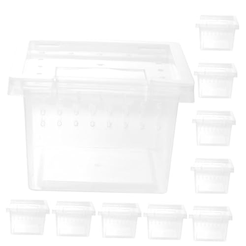 BELLIFFY 10-teilige Reptilien-habitatbox Aus Kunststoff Transparenter Futterbehälter Für Spinnen Und Eidechsen Mit Belüftungslöchern Für Komfort BELLIFFY 10-teilige Reptilien-habitatbox Aus Kunststoff Transparenter Futterbehälter Für Spinnen Und Eidechsen Mit Belüftungslöchern Für Komfort von BELLIFFY