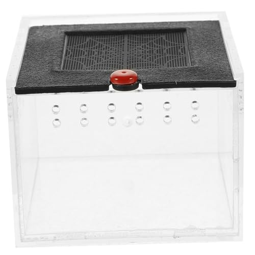 BELLIFFY ，，， Klarsicht-futterboxen Vertikales Reptilienterrarium Klarsichtbare Reptilienhüllen Etuis Für Die Reptilienhaltung Klarsicht-züchterfälle Eidechsenbecken Acryl von BELLIFFY