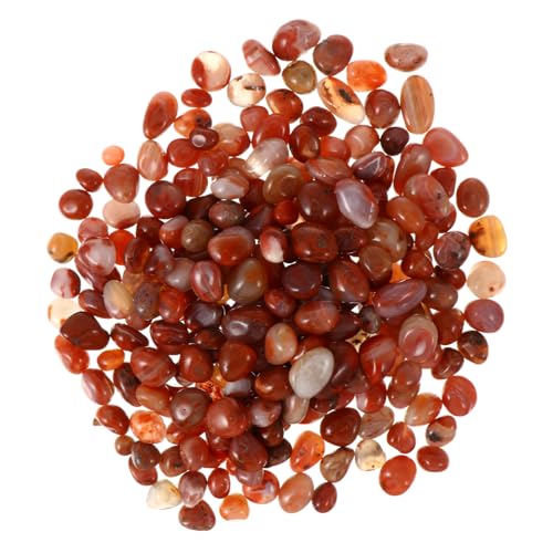 BELLIFFY 500 g Packung Natursteinkiesel dekorativer Kies für Pflanzen Trommelsteine Glatte Oberfläche BELLIFFY 500 g Packung Natursteinkiesel dekorativer Kies für Pflanzen Trommelsteine Glatte Oberfläche von BELLIFFY