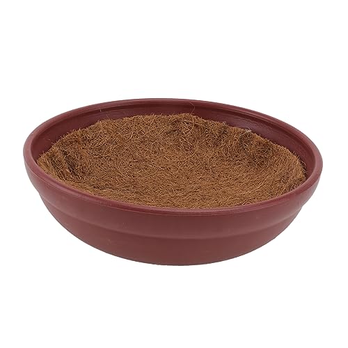 BELLIFFY Taubennestmatte Aus Kokosfaser Matten Schüssel Tauben Zucht Eier Matte Geeignet Für Taubennester Langlebiges Vogel Zubehör BELLIFFY Taubennestmatte Aus Kokosfaser Matten Schüssel Tauben Zucht Eier Matte Geeignet Für Taubennester Langlebiges Vogel Zubehör von BELLIFFY