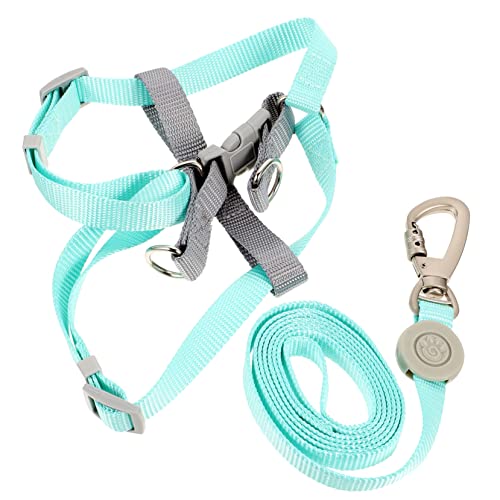 BELLIFFY 1 Satz Geschirr Set mit Verstellbarem und Ringen Stilvolles und Sicheres Hundegeschirr für Kleine für Training und Outdoor Aktivitäten Modischen Erhältlich von BELLIFFY