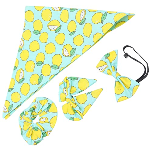 BELLIFFY Hunde-Outfit-Accessoire Passende Bandanas und Fliege Set für Hundegeburtstagsfoto BELLIFFY Hunde-Outfit-Accessoire Passende Bandanas und Fliege Set für Hundegeburtstagsfoto von BELLIFFY