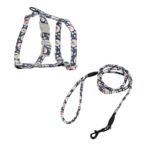 BELLIFFY 1 Satz Haustier Katzengeschirr Kleines Hundegeschirr Leine Katzenwestenleine Welpenhalsband Trainingsleine Für Hunde Für Welpen Hundetrainer Baumwolle Blue BELLIFFY 1 Satz Haustier Katzengeschirr Kleines Hundegeschirr Leine Katzenwestenleine Welpenhalsband Trainingsleine Für Hunde Für Welpen Hundetrainer Baumwolle Blue von BELLIFFY
