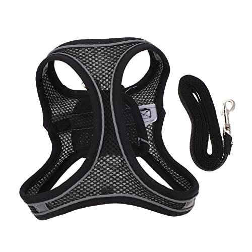 BELLIFFY Outdoor Cat Leash Bequemer Kragen Set 12m Länge Weiches Material Haustier Gehen BELLIFFY Outdoor Cat Leash Bequemer Kragen Set 12m Länge Weiches Material Haustier Gehen von BELLIFFY