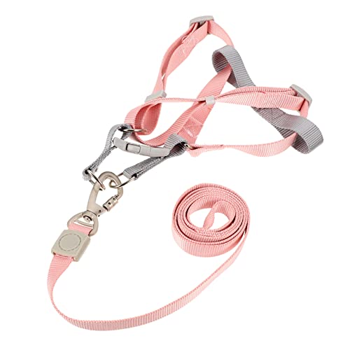 BELLIFFY 1 Satz Hundegeschirr und Leine Set Verstellbares Brustgeschirr mit Ringen und Führleine für Sicheres Atmungsaktiv für Kleine bis Große Modischen Erhältlich BELLIFFY 1 Satz Hundegeschirr und Leine Set Verstellbares Brustgeschirr mit Ringen und Führleine für Sicheres Atmungsaktiv für Kleine bis Große Modischen Erhältlich von BELLIFFY