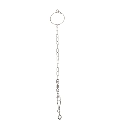 BELLIFFY Papagei Fußkette Vögel Fußkettchen Edelstahl Split Fuß Papagei Schloss Kette von BELLIFFY