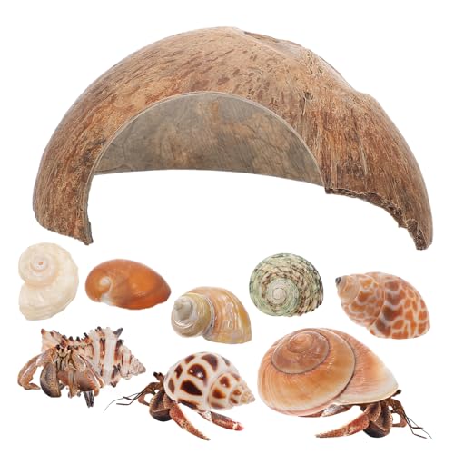 BELLIFFY Kokossubstrat Versteck Höhle für Einsiedlerkrebse Schildkröten Eidechsen Haustierzubehör dekorative Muscheln BELLIFFY Kokossubstrat Versteck Höhle für Einsiedlerkrebse Schildkröten Eidechsen Haustierzubehör dekorative Muscheln von BELLIFFY