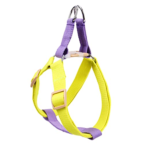 BELLIFFY 1 Stück Farbiges Hundegeschirr Traktionsgeschirr Kleines Hundegeschirr Haustier Gehgeschirr Hundegeschirr Hundegeschirr Hundetrainingsgeschirr Hunde Brustgeschirr BELLIFFY 1 Stück Farbiges Hundegeschirr Traktionsgeschirr Kleines Hundegeschirr Haustier Gehgeschirr Hundegeschirr Hundegeschirr Hundetrainingsgeschirr Hunde Brustgeschirr von BELLIFFY