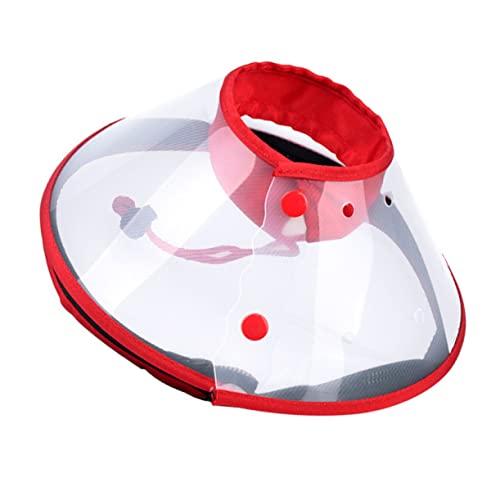 BELLIFFY 1pc Haustier Schutzkragen Hund Schutzkragen Für Beißen Kratzer Prävention M Größe BELLIFFY 1pc Haustier Schutzkragen Hund Schutzkragen Für Beißen Kratzer Prävention M Größe von BELLIFFY