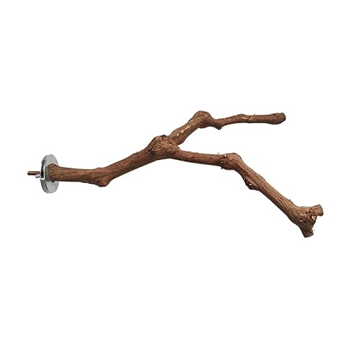 BELLIFFY Vogel-trainingsspielzeug Haustier-kauspielzeug 1 Stück Vogel-sitzstange Naturholz Spielzeug Zweigspielzeug für Papageienkäfig BELLIFFY Vogel-trainingsspielzeug Haustier-kauspielzeug 1 Stück Vogel-sitzstange Naturholz Spielzeug Zweigspielzeug für Papageienkäfig von BELLIFFY