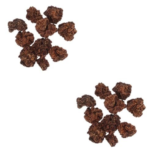 BELLIFFY 20 STK Beißball für Haustiere Katzenminze Stick Katzenminze Spielzeug Kauspielzeug für Katzen Katzenranke pet Supplies Katzen Spielzeug Kauball für Haustier Pet-Ball-Spielzeug BELLIFFY 20 STK Beißball für Haustiere Katzenminze Stick Katzenminze Spielzeug Kauspielzeug für Katzen Katzenranke pet Supplies Katzen Spielzeug Kauball für Haustier Pet-Ball-Spielzeug von BELLIFFY