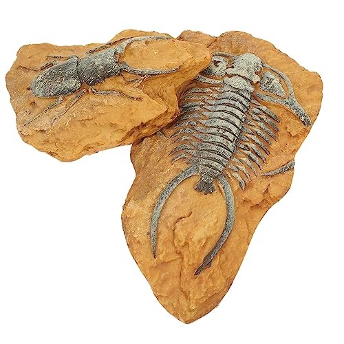 BELLIFFY 2stücke Reptilien Terrarium Dekoration Simulation Fossil Box Für Schlangen Und Eidechsen Gemütliche Umgebung Für Kleintiere Aus Hochwertigem Harz Gefertigt Für Käfige Und BELLIFFY 2stücke Reptilien Terrarium Dekoration Simulation Fossil Box Für Schlangen Und Eidechsen Gemütliche Umgebung Für Kleintiere Aus Hochwertigem Harz Gefertigt Für Käfige Und von BELLIFFY
