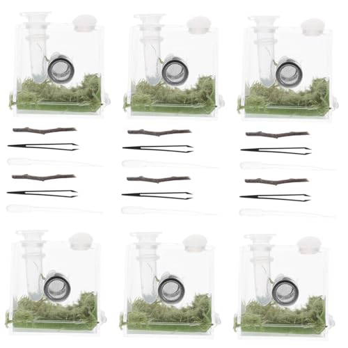 BELLIFFY Terrarium für Springspinnen Transparenter Käfig mit Belüftung 2 Satz von Lebensraum Käfig für Kleine Reptilien und Insekten BELLIFFY Terrarium für Springspinnen Transparenter Käfig mit Belüftung 2 Satz von Lebensraum Käfig für Kleine Reptilien und Insekten von BELLIFFY