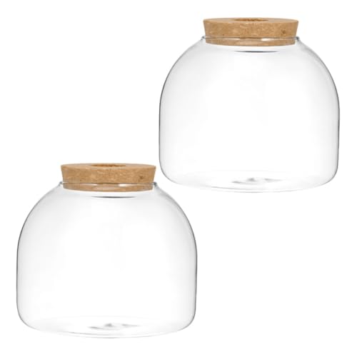 BELLIFFY 2St Ökologische Mikrolandschaftsflasche Fischpflanzen Terrarium Blumenbehälter Aquarium Terrarienglas hochzeitsdeko hohzeitdeko Mikrolandschaftsdekor Mehrzweckflasche aus Glas Holz BELLIFFY 2St Ökologische Mikrolandschaftsflasche Fischpflanzen Terrarium Blumenbehälter Aquarium Terrarienglas hochzeitsdeko hohzeitdeko Mikrolandschaftsdekor Mehrzweckflasche aus Glas Holz von BELLIFFY