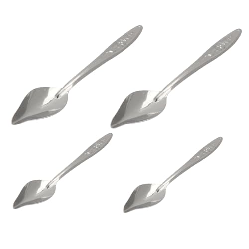 BELLIFFY Papagei Fütterung 4pcs Set Papagei Feeder Hand Fütterung Suppe Große Vögel von BELLIFFY