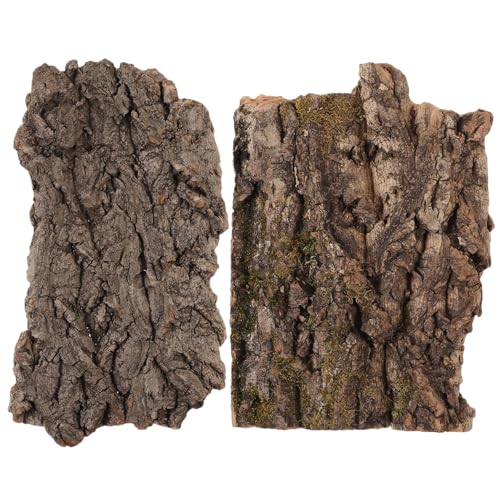 BELLIFFY 4stücke Kletterplattform Natürliche Versteckmöglichkeit Für Echsen Und Bartagamen Geeignet Für Terrarium-Dekoration Lebensraum-Design von BELLIFFY