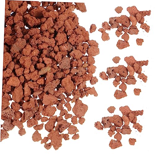 BELLIFFY Lavagranulat Für Pflanzen Steine Vulkansteine Für Aquarien Und Pflanzen Dekorative Lavagesteine Für Blumentöpfe Bonsai Und Garten 300g Vulkangestein Für Innen Und Außengebrauch von BELLIFFY