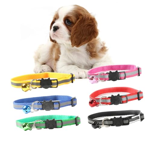 BELLIFFY Reflektierendes Haustier- -Set 6-teilig Verstellbar Für Hunde Und Mit Glocke Nachtfarbe Zufällige Farbauswahl von BELLIFFY