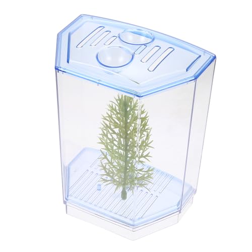 BELLIFFY Mini-Aquarium Aus Kunststoff Transparentes Aquarium Für Fische Und Garnelen Kleines Terrarium Als Deko Für Home-Office Oder Schreibtisch BELLIFFY Mini-Aquarium Aus Kunststoff Transparentes Aquarium Für Fische Und Garnelen Kleines Terrarium Als Deko Für Home-Office Oder Schreibtisch von BELLIFFY