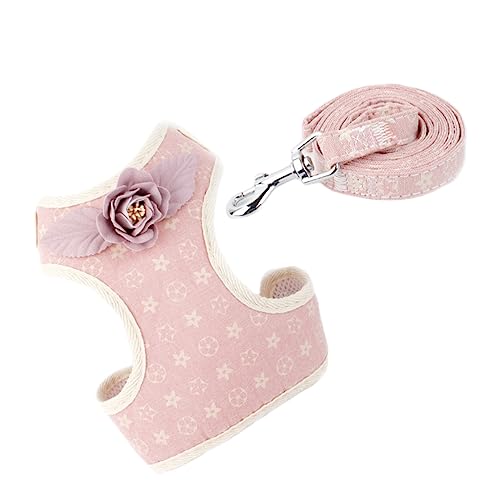 BELLIFFY Hundezugseil Mit Verstellbarem Brustgurt Haustiergeschirr Aus Strapazierfähigem Material Hund BELLIFFY Hundezugseil Mit Verstellbarem Brustgurt Haustiergeschirr Aus Strapazierfähigem Material Hund von BELLIFFY
