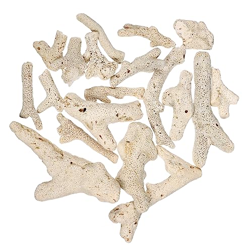 BELLIFFY Korallensteinsand Aquarium-filtermaterial Naturstein 3-10cm 500g Dekorationsstein Für Fischbecken von BELLIFFY
