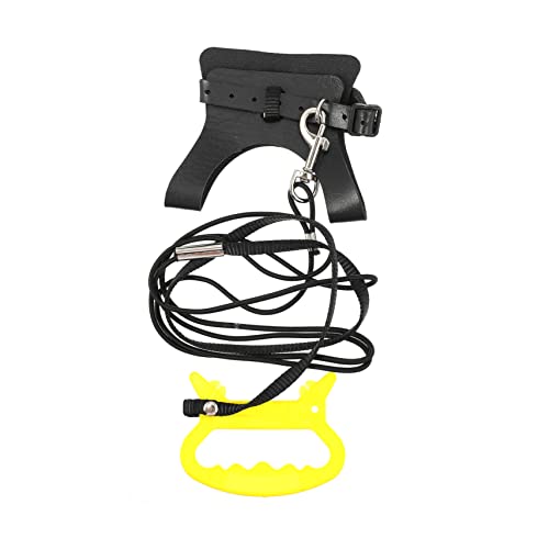 BELLIFFY Vogelflugleine Mit Einstellbarem Vogel Fluggeschirr Für Papageien Outdoor Training Seil Ohne Federbeschädigung von BELLIFFY
