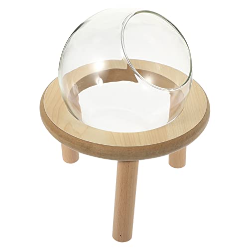 BELLIFFY Hamsterbett Luftpflanzenständer Versteck Sandbad für Hamster Wanne Hamsterkäfig Hamster klo Hamsterhygiene Links einmachgläser Kleiner Badebehälter Hamsterbad aus Glas hölzern BELLIFFY Hamsterbett Luftpflanzenständer Versteck Sandbad für Hamster Wanne Hamsterkäfig Hamster klo Hamsterhygiene Links einmachgläser Kleiner Badebehälter Hamsterbad aus Glas hölzern von BELLIFFY