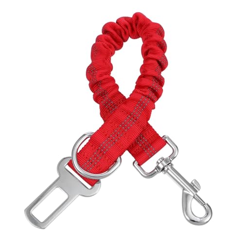 BELLIFFY Elastische Hundeleine Haustier Nylon Trainingsleine Reflektierend für Nacht Langlebig für Größen BELLIFFY Elastische Hundeleine Haustier Nylon Trainingsleine Reflektierend für Nacht Langlebig für Größen von BELLIFFY