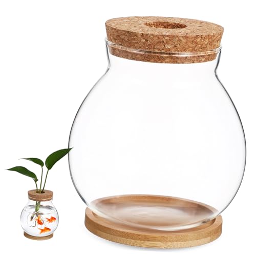 BELLIFFY Glasfischschale Mit Bambusmatte Kleiner Betta Fisch Tank Für Terrarium Aquarium Für Tischdekoration Geeignet Für Pflanzen Und Fische BELLIFFY Glasfischschale Mit Bambusmatte Kleiner Betta Fisch Tank Für Terrarium Aquarium Für Tischdekoration Geeignet Für Pflanzen Und Fische von BELLIFFY