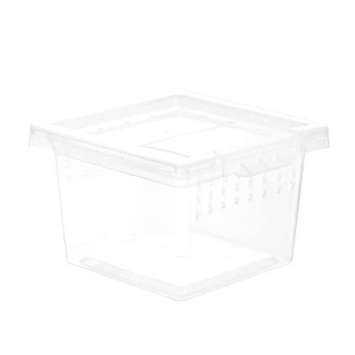 BELLIFFY Kasten Aufzuchtbox Für Insekten Reptilienbecken Käfig Im Freien Schlangenkäfig Tragbarer Haustierzaun Mini-Terrarium Für Reptilien Fall Einer Reptilienzucht Plastik Transparent BELLIFFY Kasten Aufzuchtbox Für Insekten Reptilienbecken Käfig Im Freien Schlangenkäfig Tragbarer Haustierzaun Mini-Terrarium Für Reptilien Fall Einer Reptilienzucht Plastik Transparent von BELLIFFY