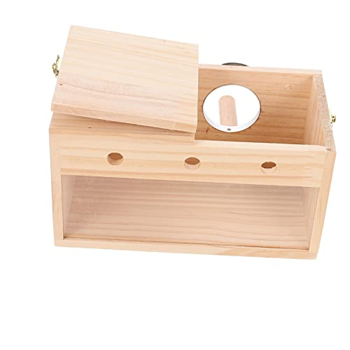 BELLIFFY Sittich-Nistkasten groß dekorativer Vogelnistkasten für Vögel Finken Spatzen Vogelzubehör aus Holz Papageien-Brutkasten BELLIFFY Sittich-Nistkasten groß dekorativer Vogelnistkasten für Vögel Finken Spatzen Vogelzubehör aus Holz Papageien-Brutkasten von BELLIFFY