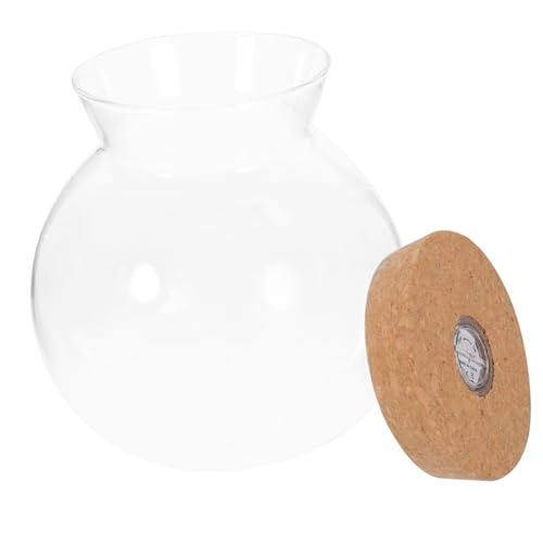 BELLIFFY Landschaftsflasche Bewässerung Versiegelte Terrarien-Sets Kit Zur Abgrenzung des Terrariums Wasserflasche Aquascaping Panzer Mit Deckel Mikro Glas Mit Hohem Borosilikatgehalt Weiß BELLIFFY Landschaftsflasche Bewässerung Versiegelte Terrarien-Sets Kit Zur Abgrenzung des Terrariums Wasserflasche Aquascaping Panzer Mit Deckel Mikro Glas Mit Hohem Borosilikatgehalt Weiß von BELLIFFY