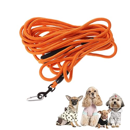 BELLIFFY Praktisches Outdoor Zugseil Für Hundewelpen Lang Kreativer Trainingsgurt Orange Ideal Für Training Und Freizeitaktivitäten Strapazierfähiges Material BELLIFFY Praktisches Outdoor Zugseil Für Hundewelpen Lang Kreativer Trainingsgurt Orange Ideal Für Training Und Freizeitaktivitäten Strapazierfähiges Material von BELLIFFY