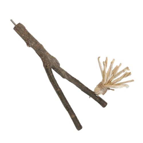 BELLIFFY Natürliche Vogel Sitzstange Spielzeug Papagei Kauen Spielzeug Beißen Relief Zweig Scratcher für Finch BELLIFFY Natürliche Vogel Sitzstange Spielzeug Papagei Kauen Spielzeug Beißen Relief Zweig Scratcher für Finch von BELLIFFY