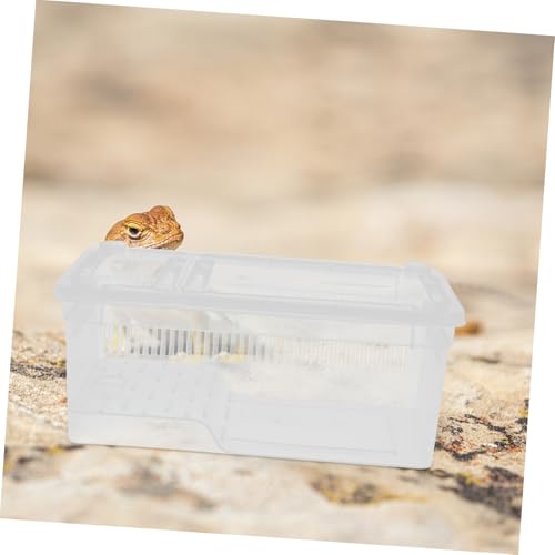 BELLIFFY Transparente Reptilien aufzuchtbox aus Robustem Kunststoff Leicht zu Reinigen für Eidechsen Schlangen Frösche und Spinnen Klares Terrarium für Gesundes Aktives Habitat BELLIFFY Transparente Reptilien aufzuchtbox aus Robustem Kunststoff Leicht zu Reinigen für Eidechsen Schlangen Frösche und Spinnen Klares Terrarium für Gesundes Aktives Habitat von BELLIFFY